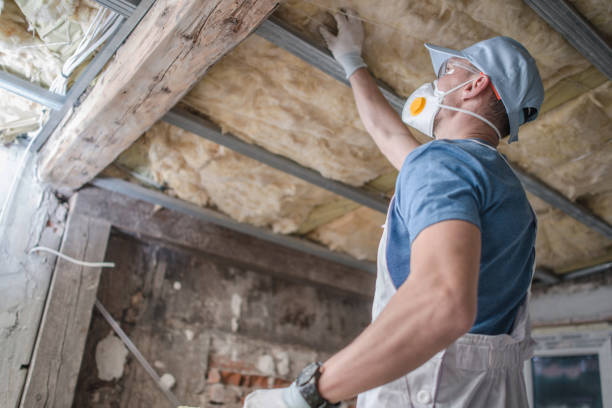 Best Insulation Maintenance and Repair in Elk Grove, CA