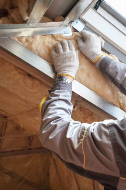 Best Insulation Installation Services in Elk Grove, CA